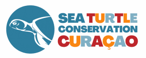 Sea Turtle Conservation Curaçao