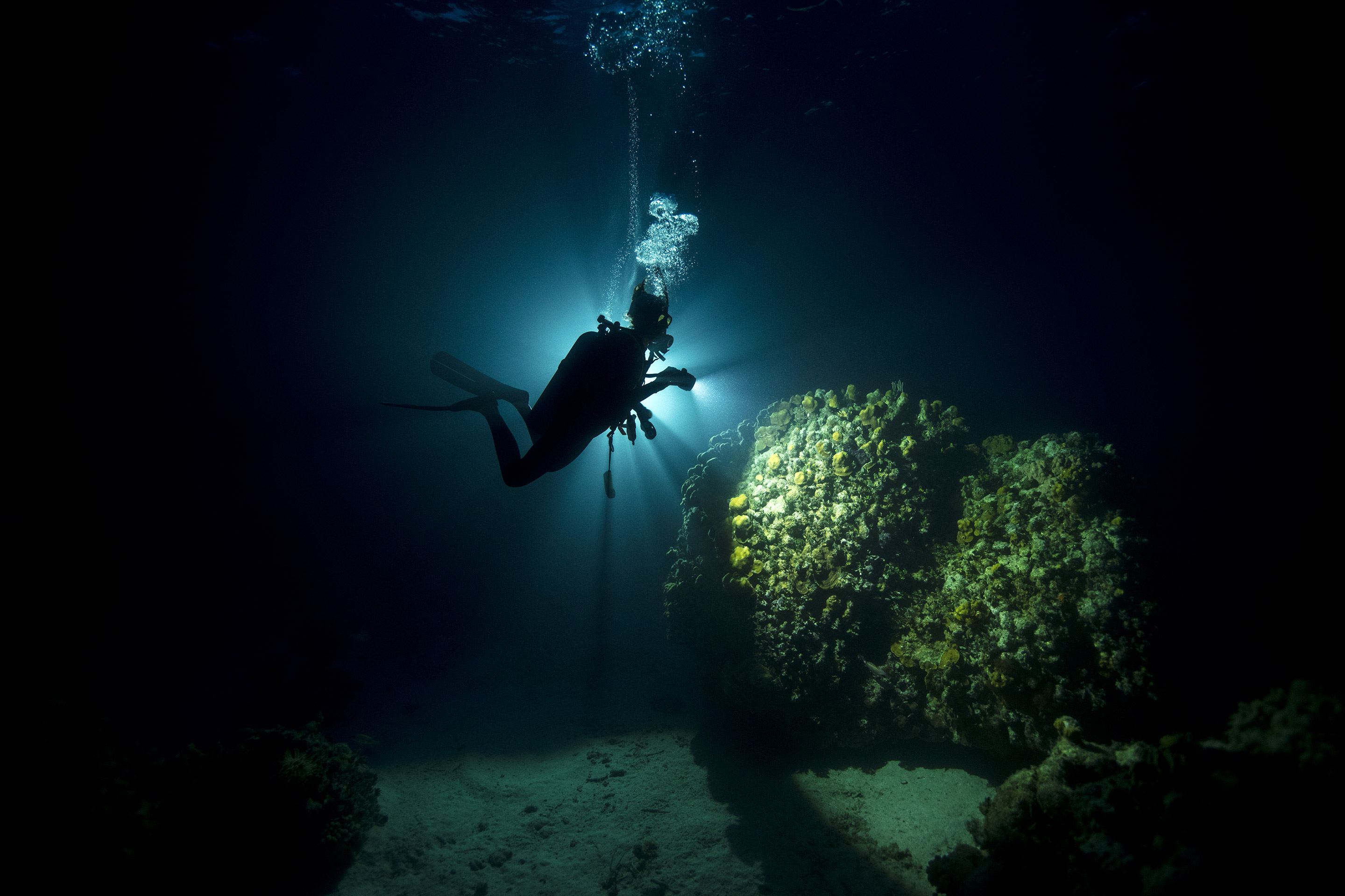 Night diver