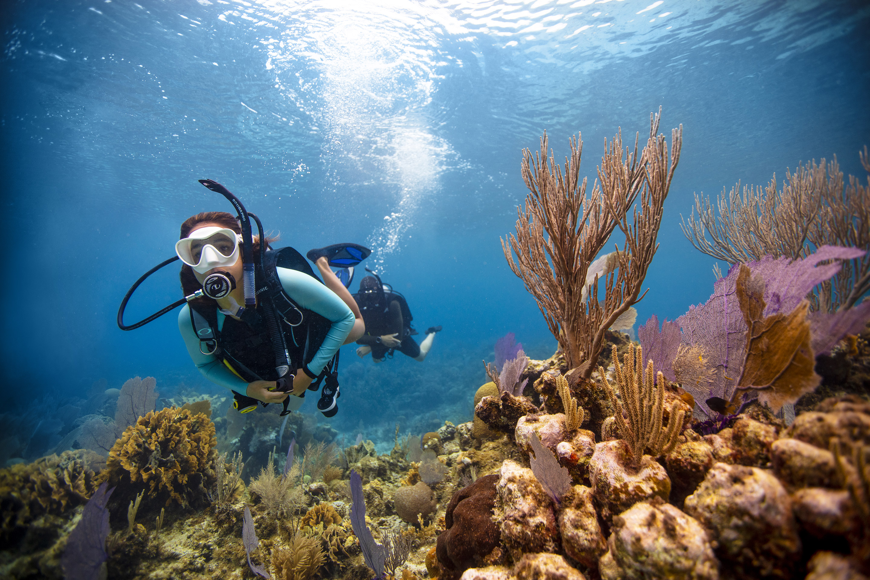 Open water diver